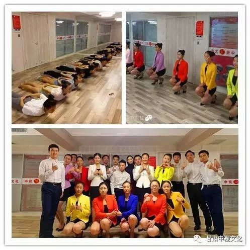 五年雙桂冠，深耕教育鑄就專業典范